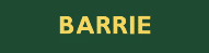 Barrie Equity Loan